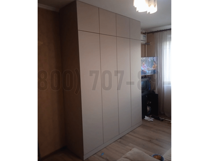 Шкаф в стиле минимализм в Фрязино